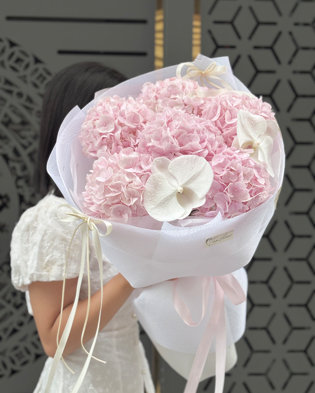 Bó hoa cẩm tú cầu tiểu thư