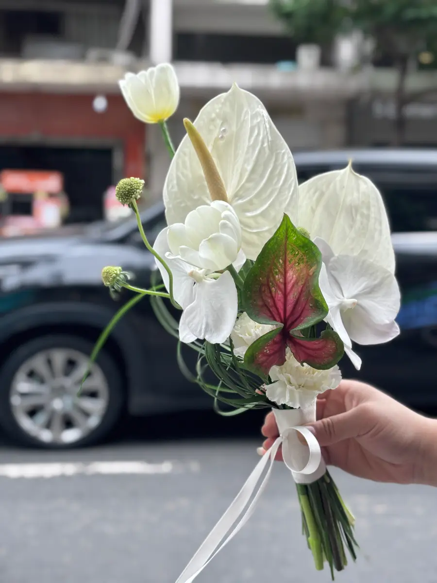 Hoa cưới tulip bạch môn