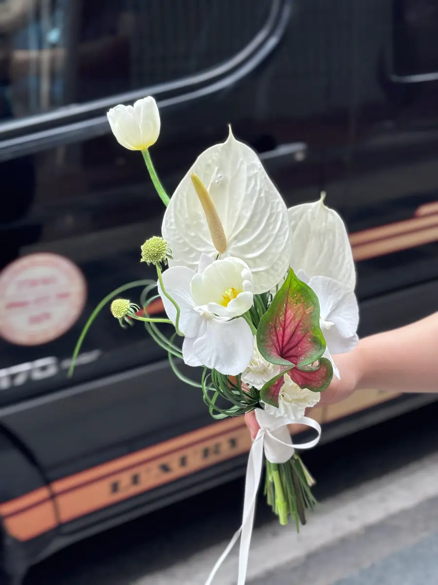 Hoa cưới tulip bạch môn