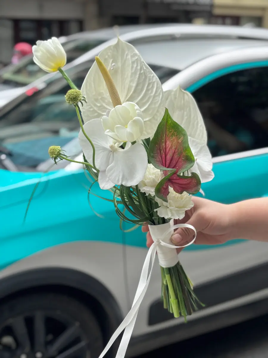 Hoa cưới tulip bạch môn