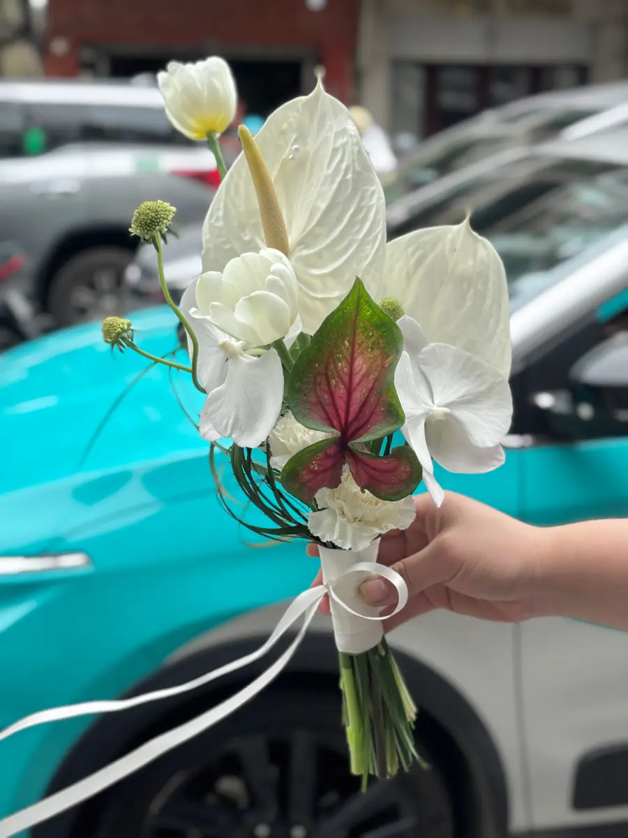 Hoa cưới tulip bạch môn