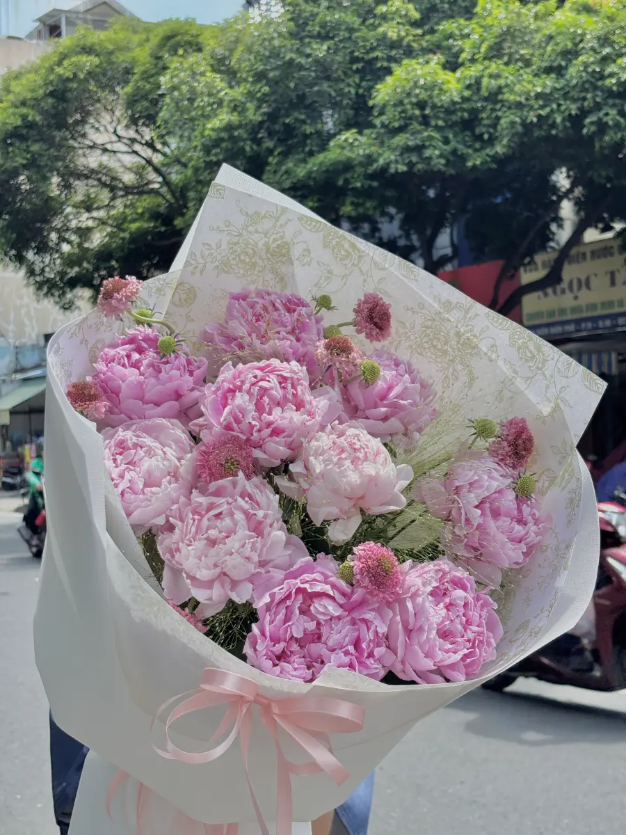Bó hoa peony tiểu thư
