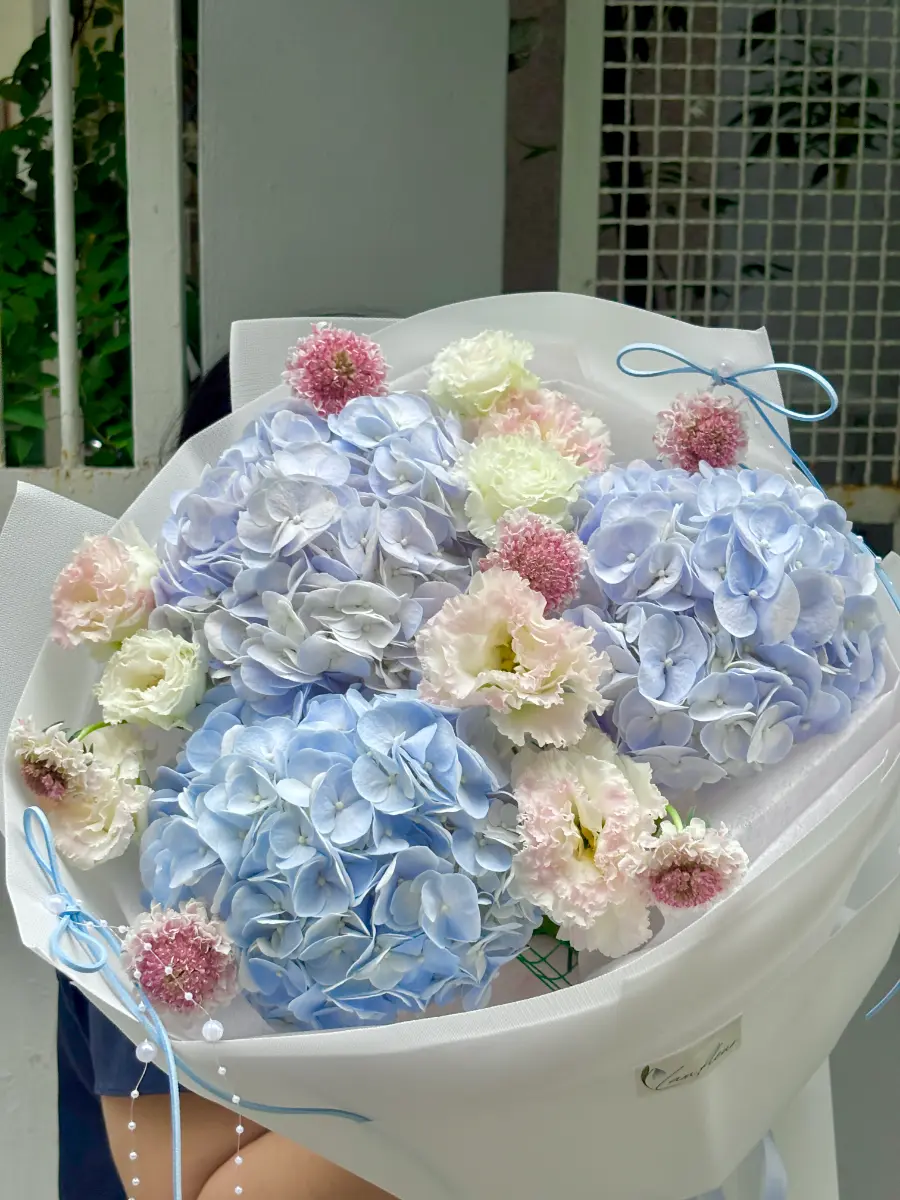 Bó hoa cẩm tú cầu xanh