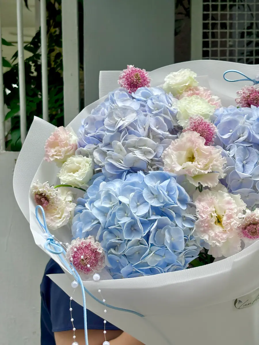 Bó hoa cẩm tú cầu xanh