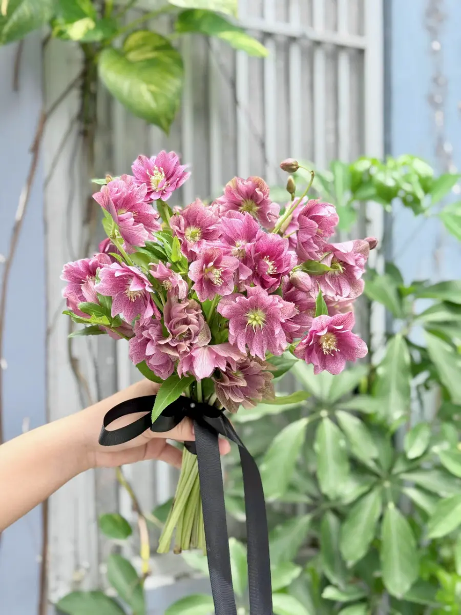 Bó hoa cưới hồng mùa đông ( Helleborus)