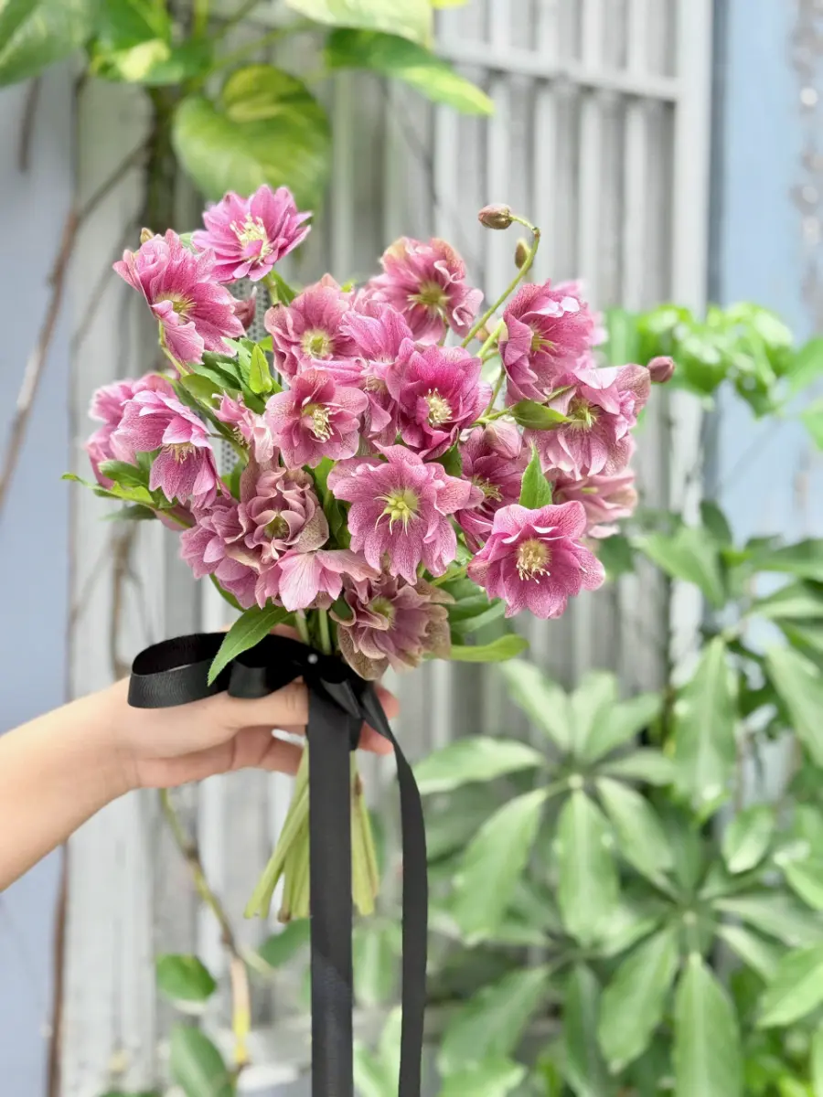 Bó hoa cưới hồng mùa đông ( Helleborus)