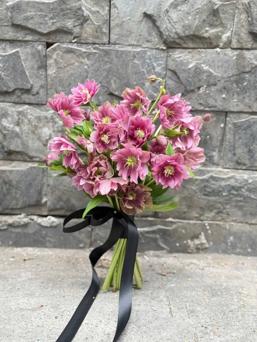 Bó hoa cưới hồng mùa đông ( Helleborus)