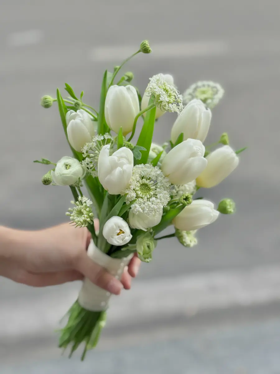 Hoa cưới tulip trắng