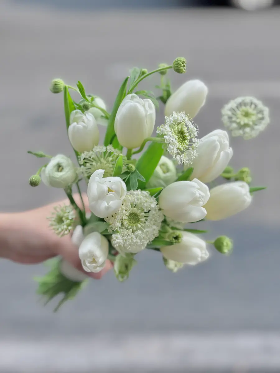 Hoa cưới tulip trắng