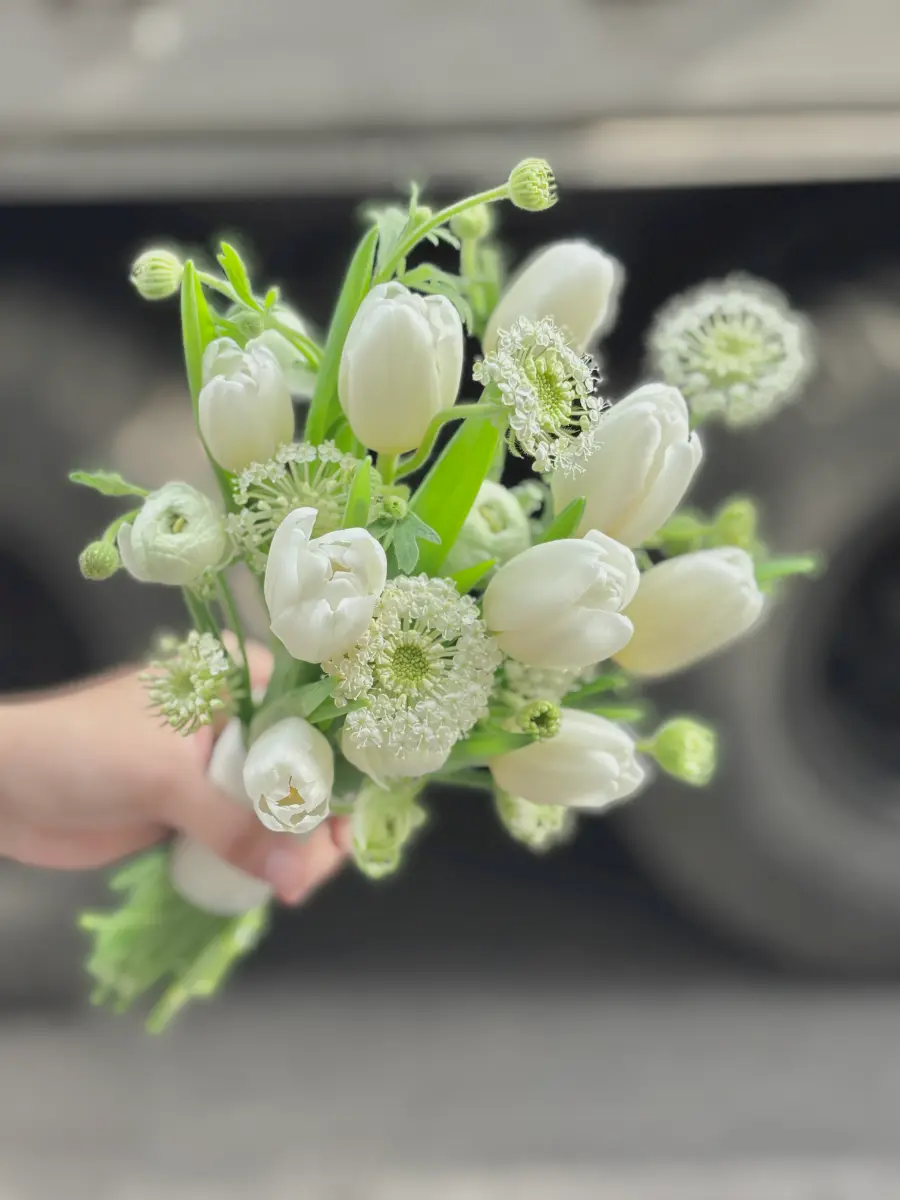 Hoa cưới tulip trắng