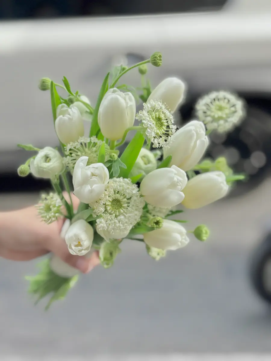 Hoa cưới tulip trắng