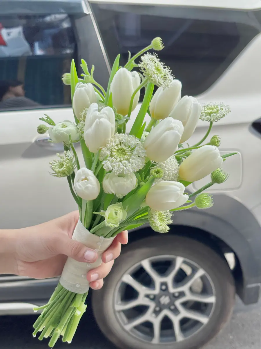 Hoa cưới tulip trắng