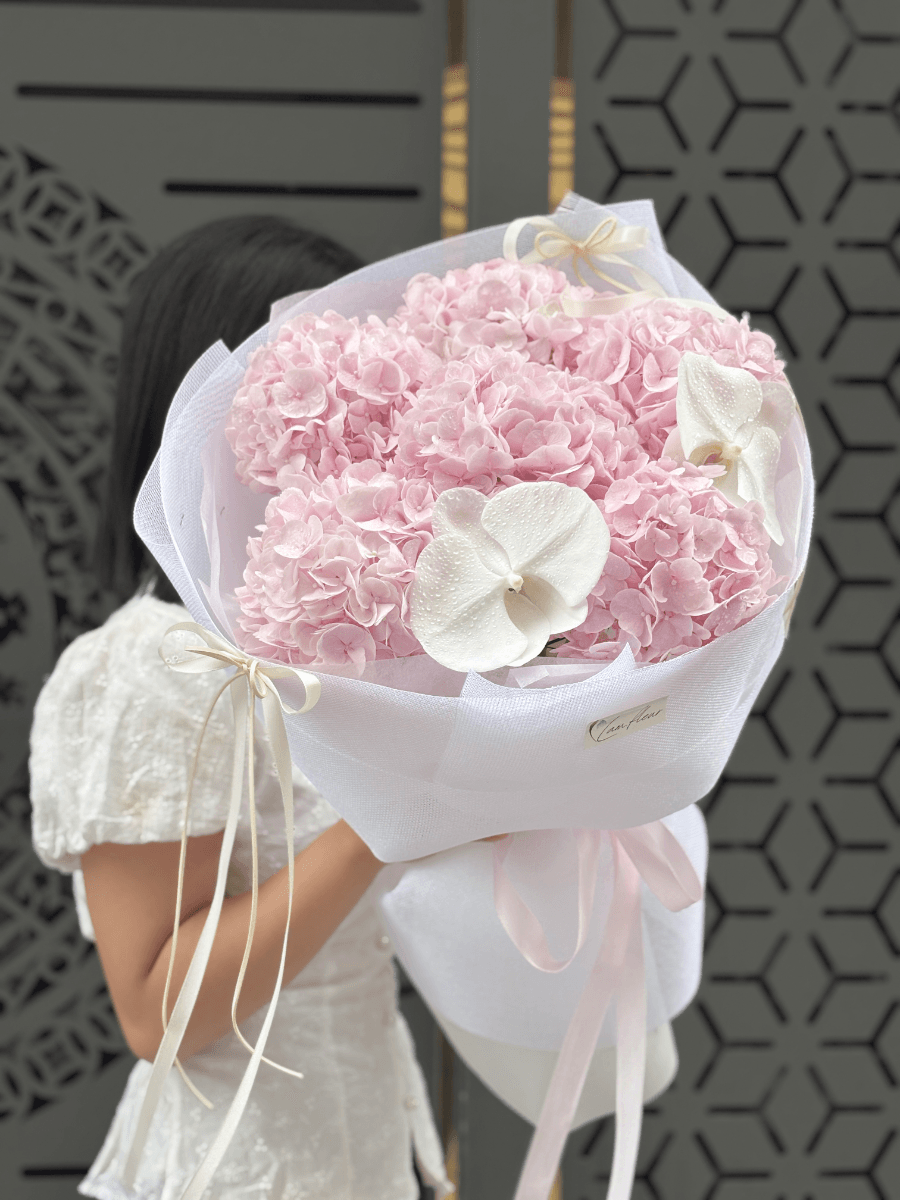 Bó hoa cẩm tú cầu tiểu thư